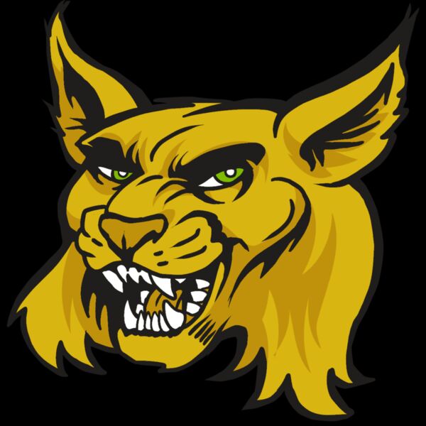 AR30 WILDCAT 03 RQC Thumbnail