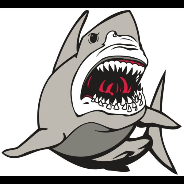 AR5 Shark 07 RQC Thumbnail