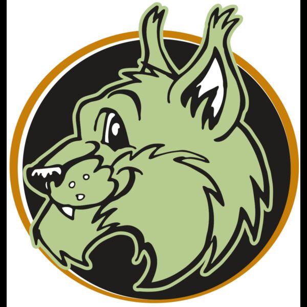 AR WILDCAT 17 RC Thumbnail